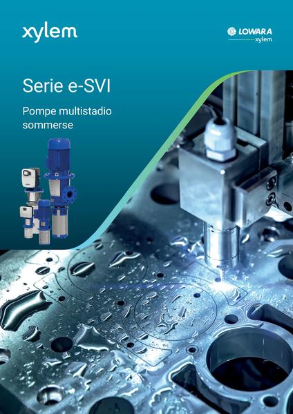 Cat_eSVI_source202602_it