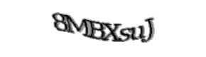 Security check image, please type the characters shown