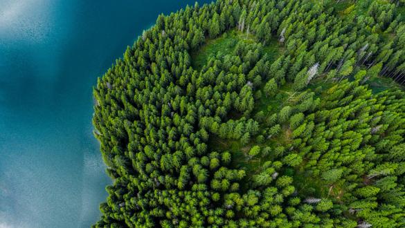 Aerial view of a forest lake. Aerial view of blue lake and green forests on a sunny summer day. Drone photography. Forest and lake border, Toned image from above. Coastline view from the drone.