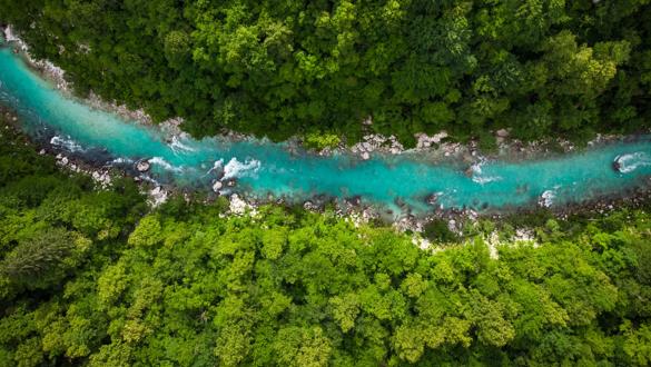 River Soca cutting trough forest, Slovenia. Drone photo.
