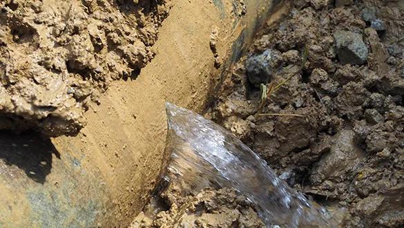 XAS-SoundPrint AFO_LP leak article thumbnail_585x330