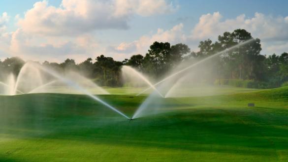 manicured florida golf course gets irrigated in morning 
WebDAM Path: /Photography & Illustration/Stock Photography/Agriculture/Irrigation