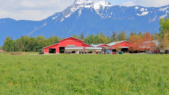 Wide view of a large double tanker truck parked beside red dairy buildings where it collects milk that will be processed and commercially sold.
WebDAM Path: /Photography & Illustration/Stock Photography/Agriculture/Irrigation