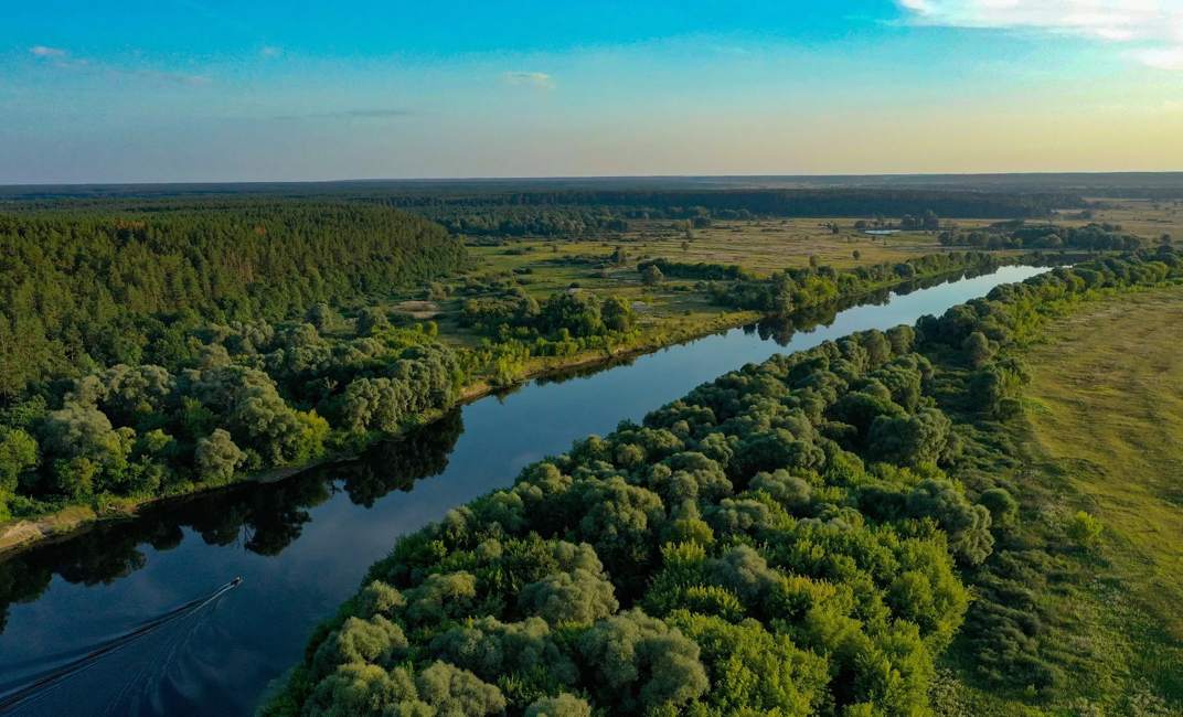 Beautiful aerial shot of an untouched wild river landscape. Gorgeous summer view of a river flowing through the untouched forest on a bright spring day. A drone shot of a wild natural river terrain. 