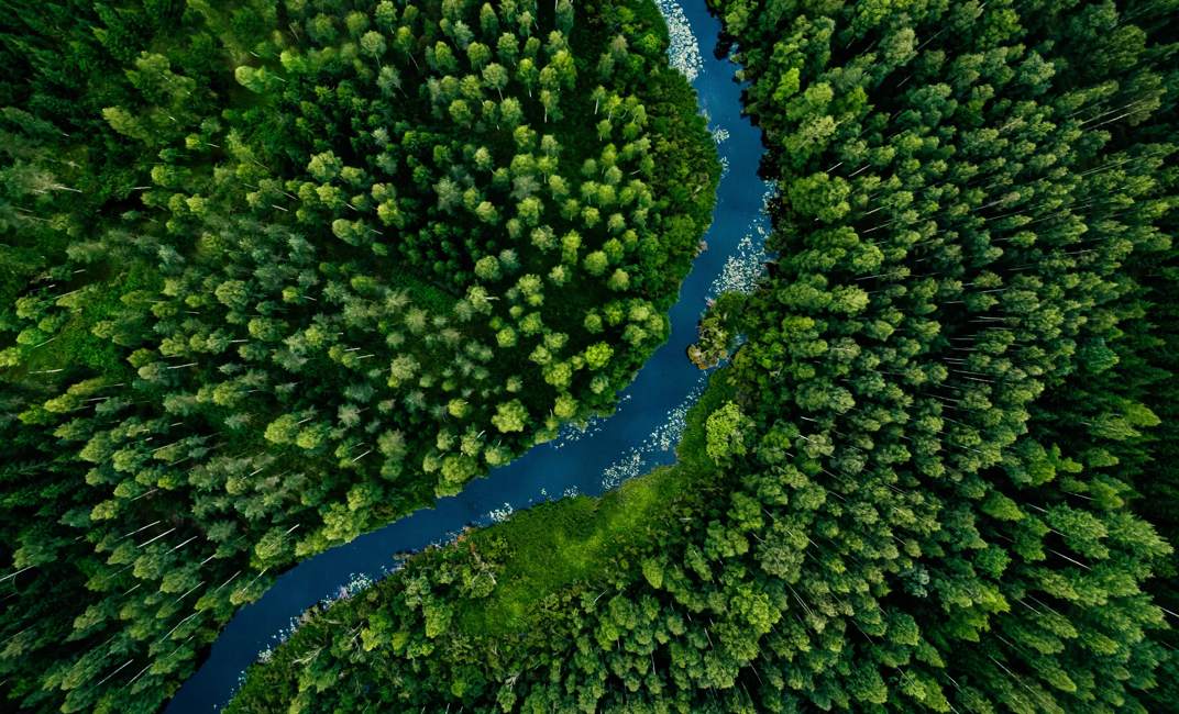 Aerial view of green grass forest with tall pine trees and blue bendy river flowing through the forest in Finland