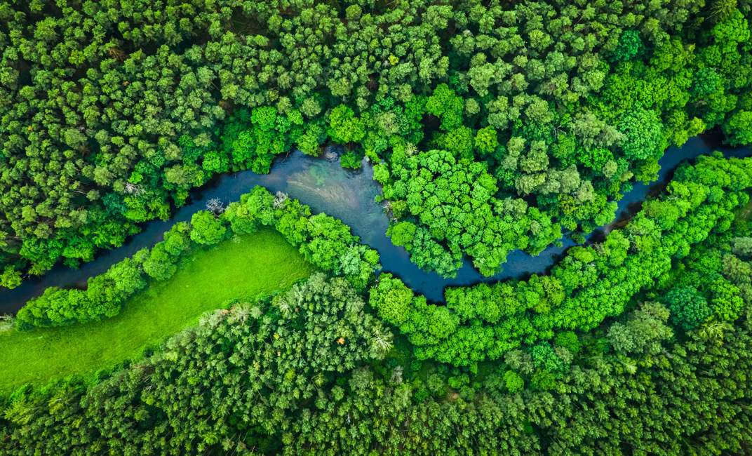 River and green forest in Tuchola natural park, aerial view